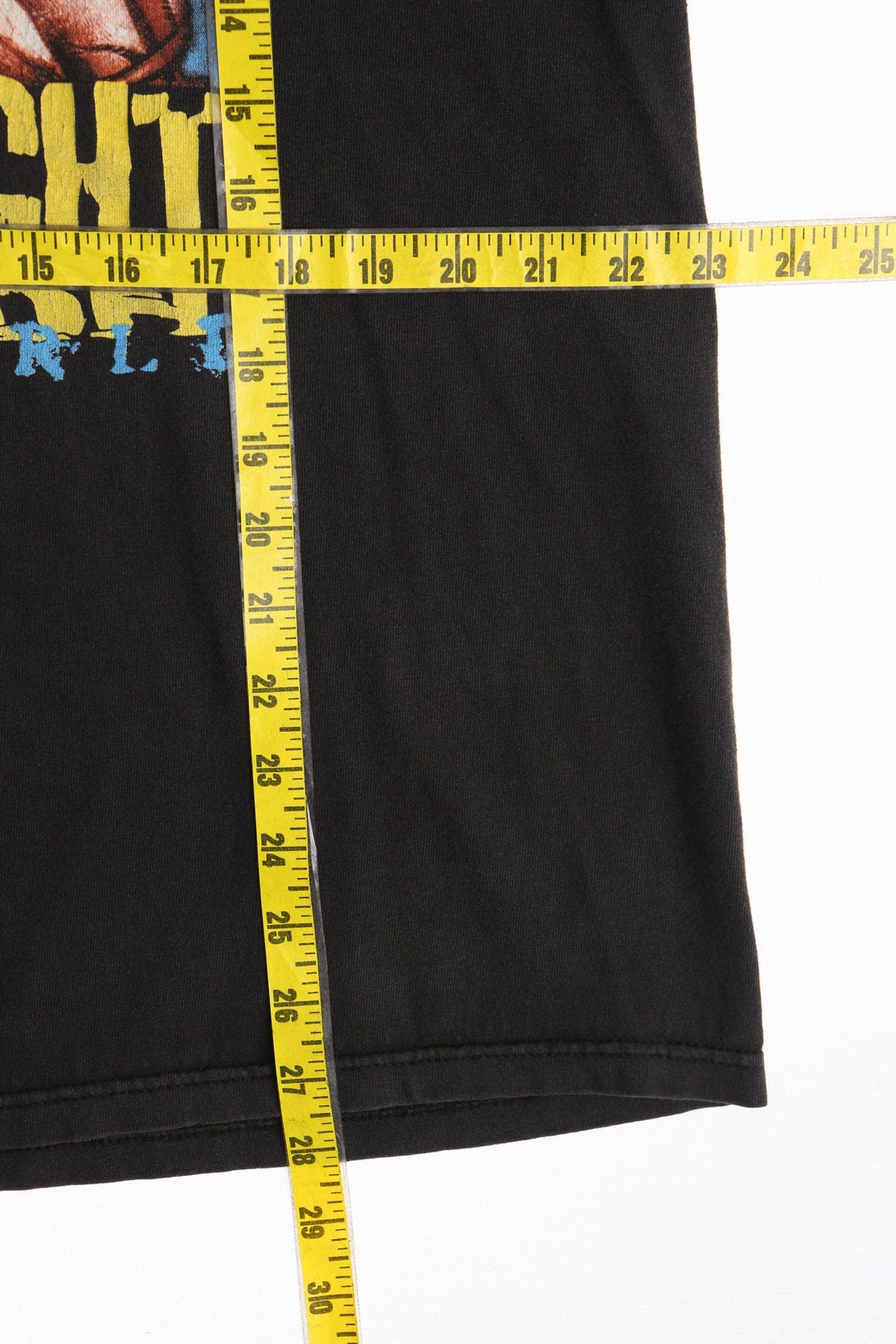 Goldberg WCW Heavy Weight Champion Of The World Graphic Shirt