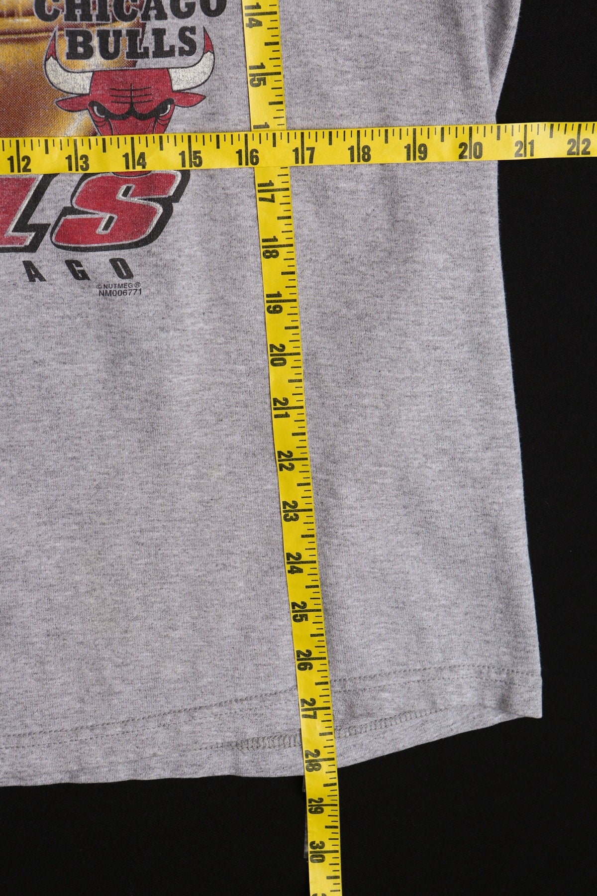 1998 Chicago Bulls Champions Basketball Graphic T-shirt