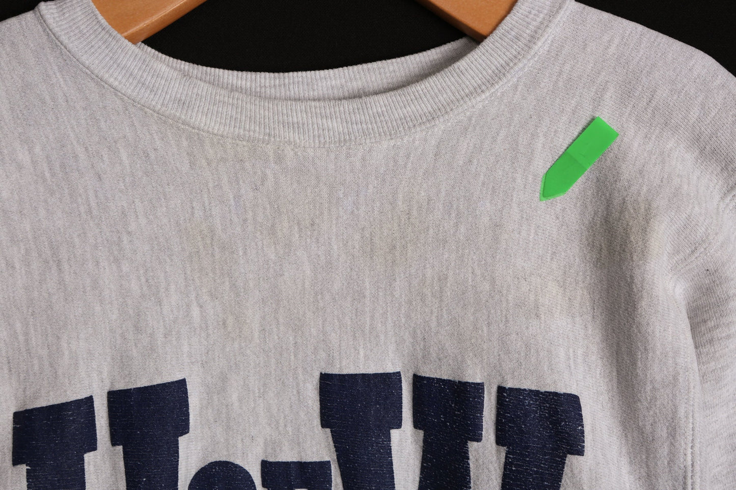 Vintage Champion Gray Sweatshirt - U of W -