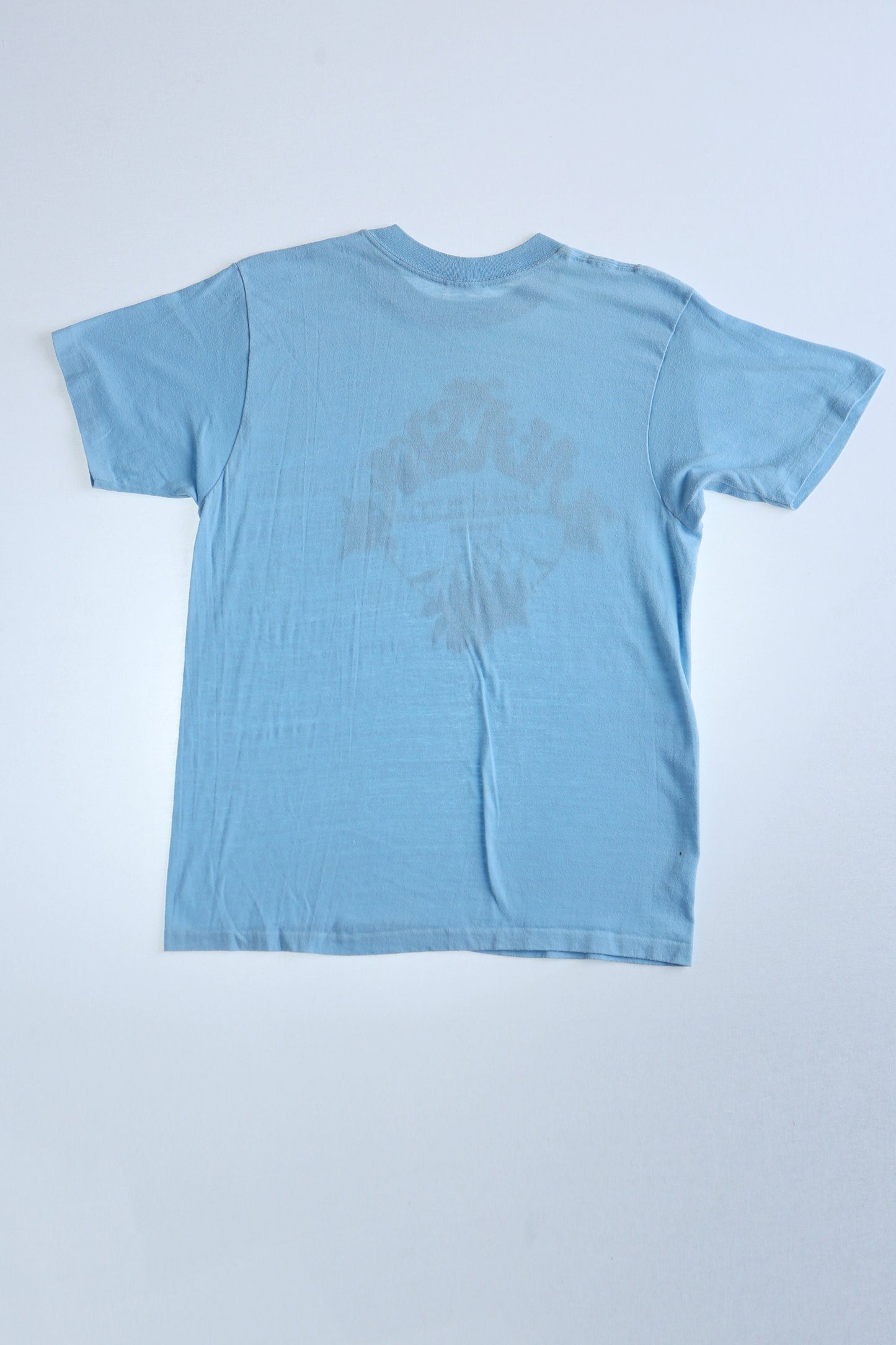 Alaska graphic print t-shirt blue 70's hippie land of the free and other endangered species nature mountains' flowers