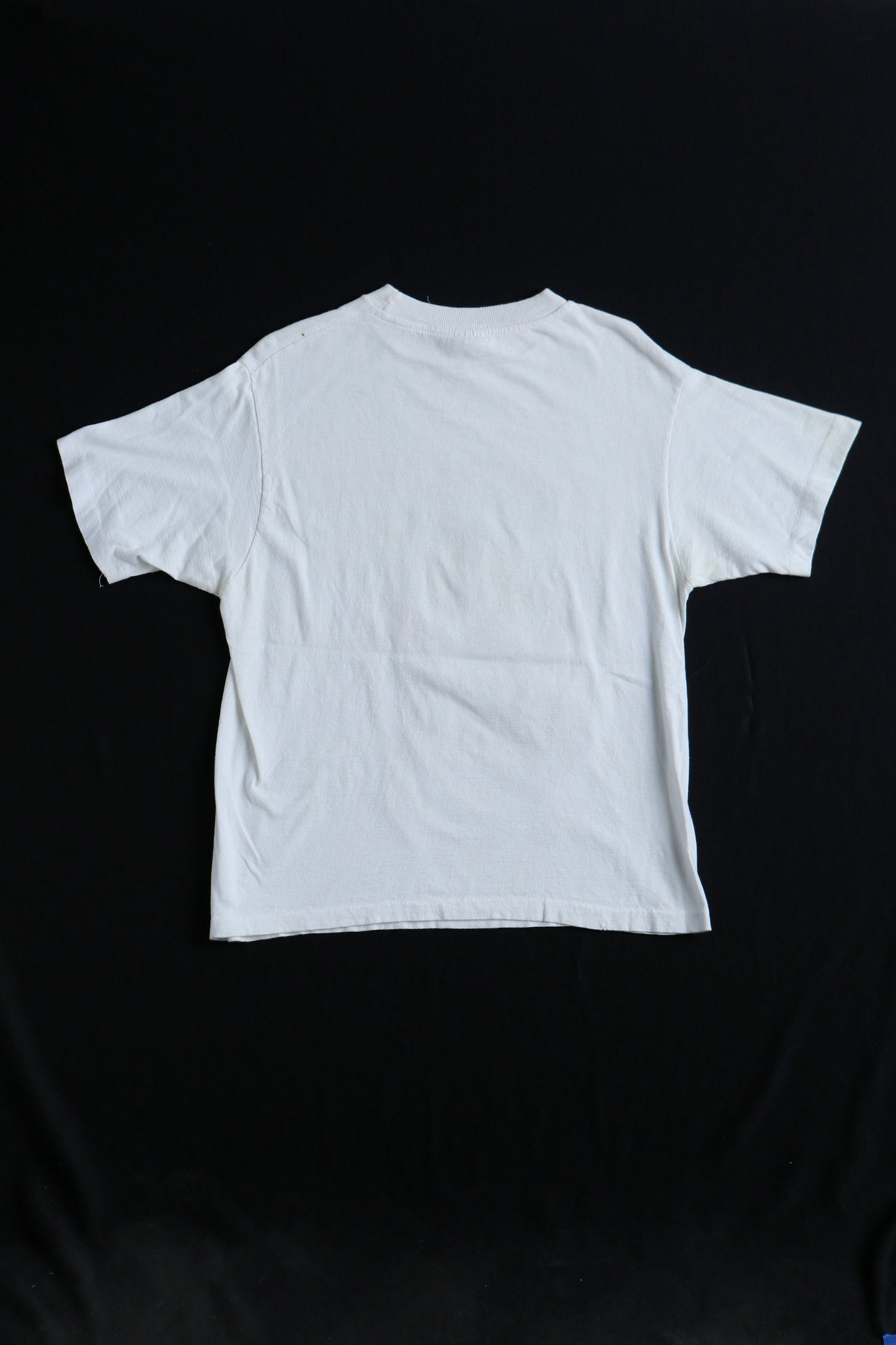 Blm black warrios africa continent nubia priest vintage white graphic t-shirt