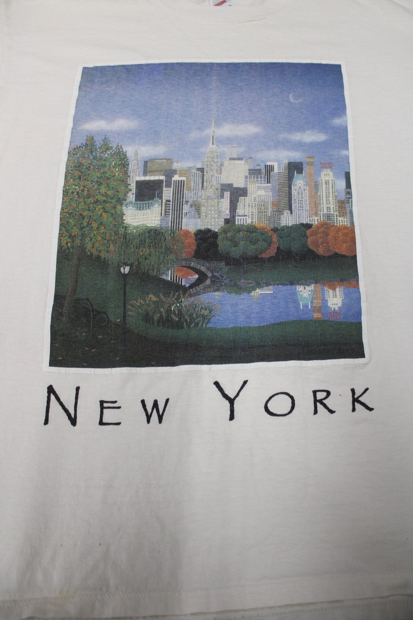 New york graphic t-shirt print image park white green made in usa