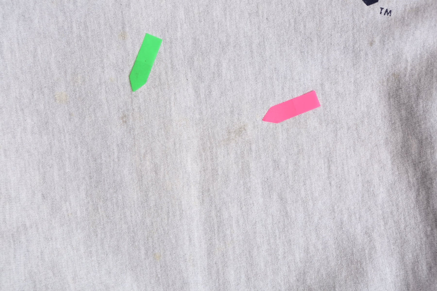 Vintage Gray Champion Sweatshirt with Illinois Print - Era 80's - 90's