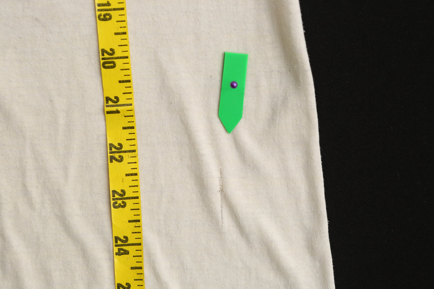 Vintage Graphic T-shirt with Laska State Bird Print