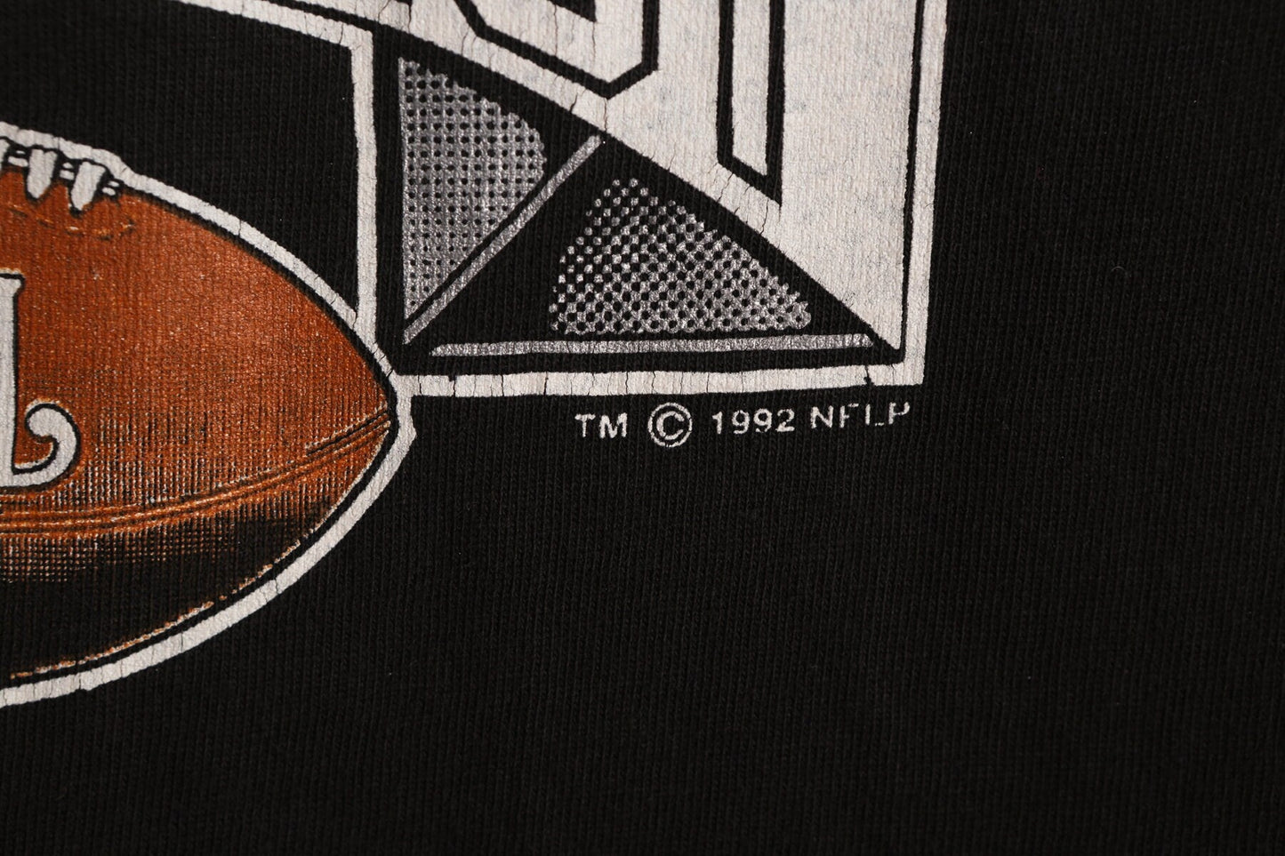 NFL Football AFC West Black Graphic T-shirt