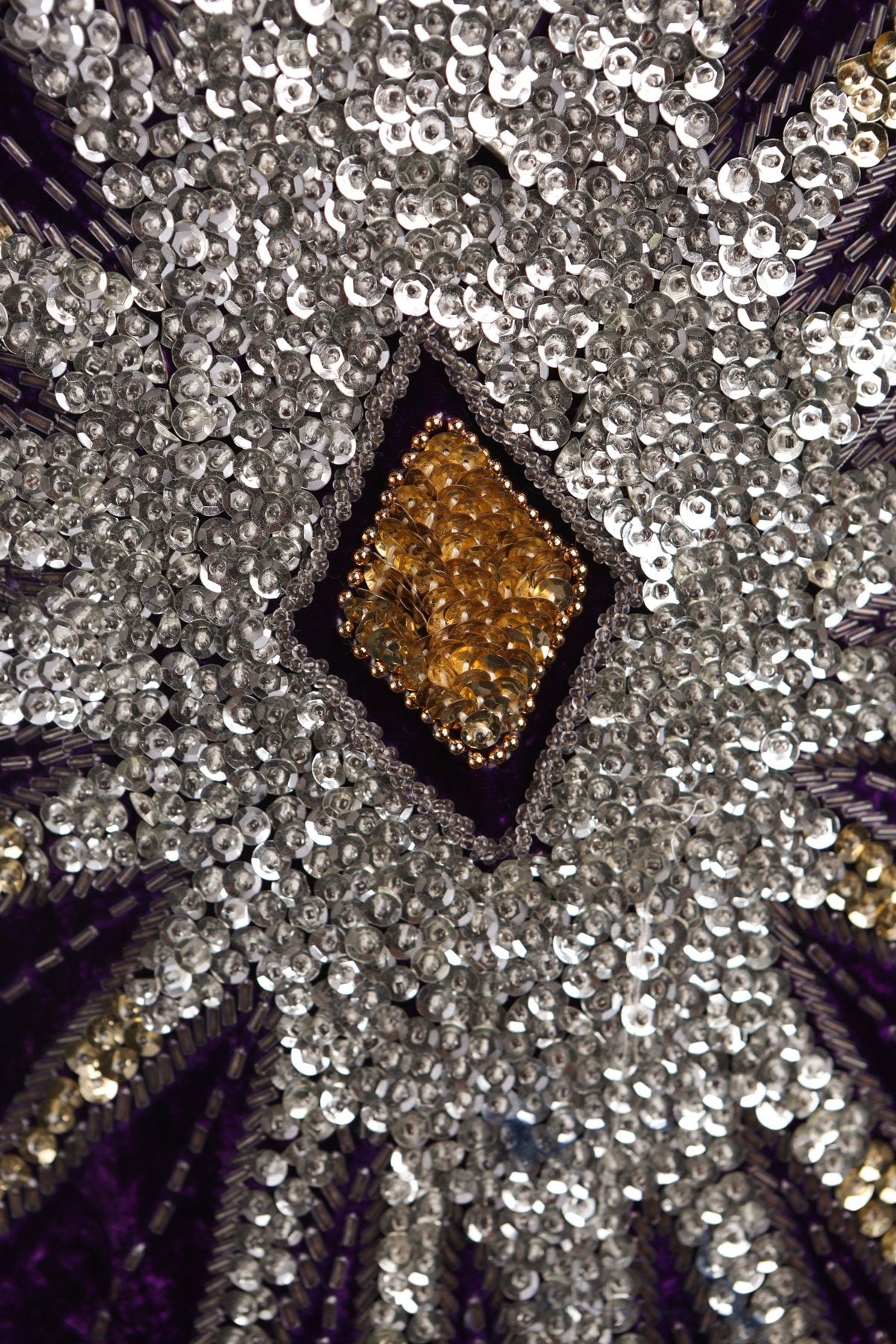 Purple Velvet Dress with Front Silver Sequence Start
