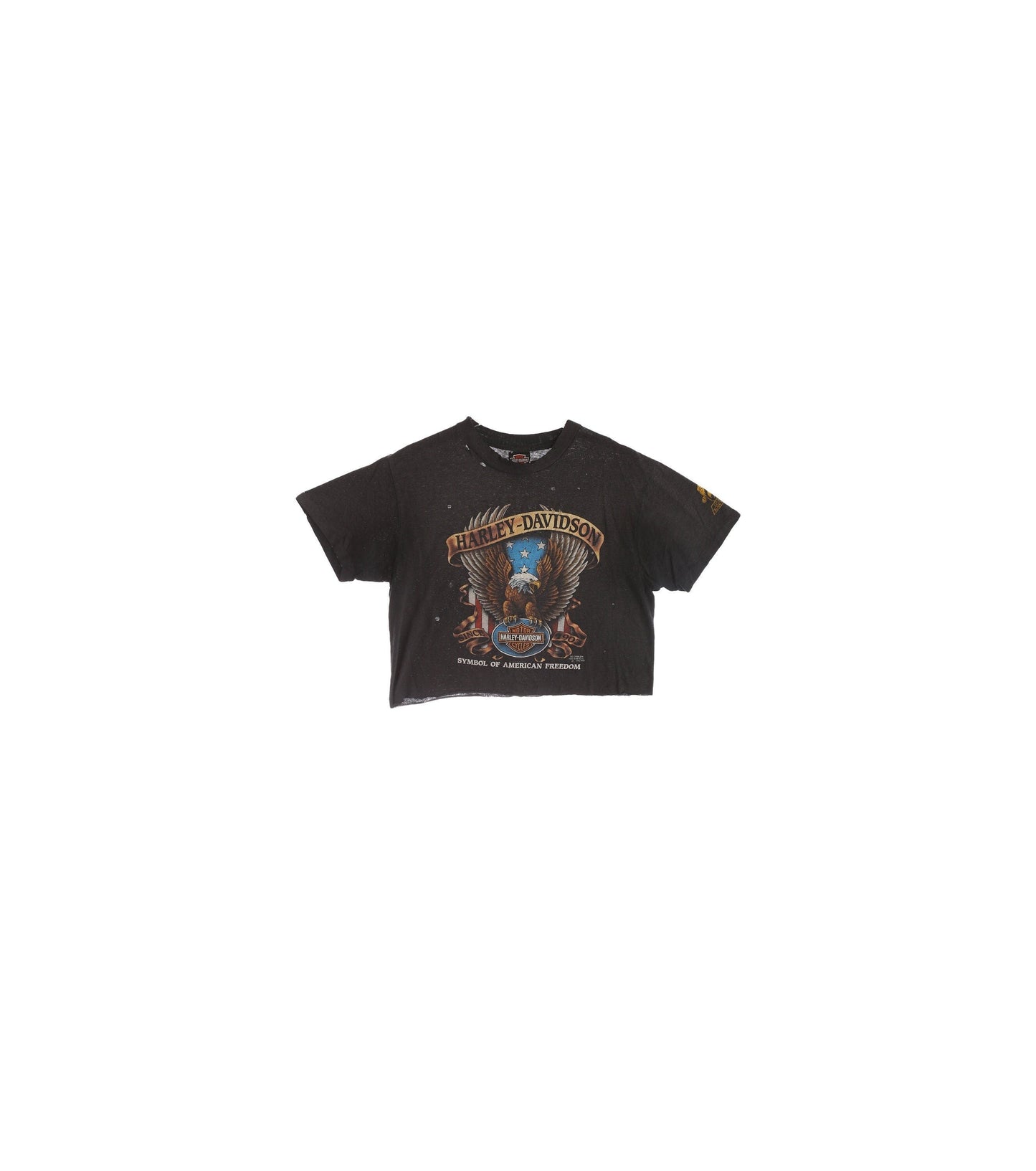 Vintage Harley Davidson Graphic T-shirt / 52nd Annual Black Hills Classic Rally / August 1992 / Sturgis South Dakota