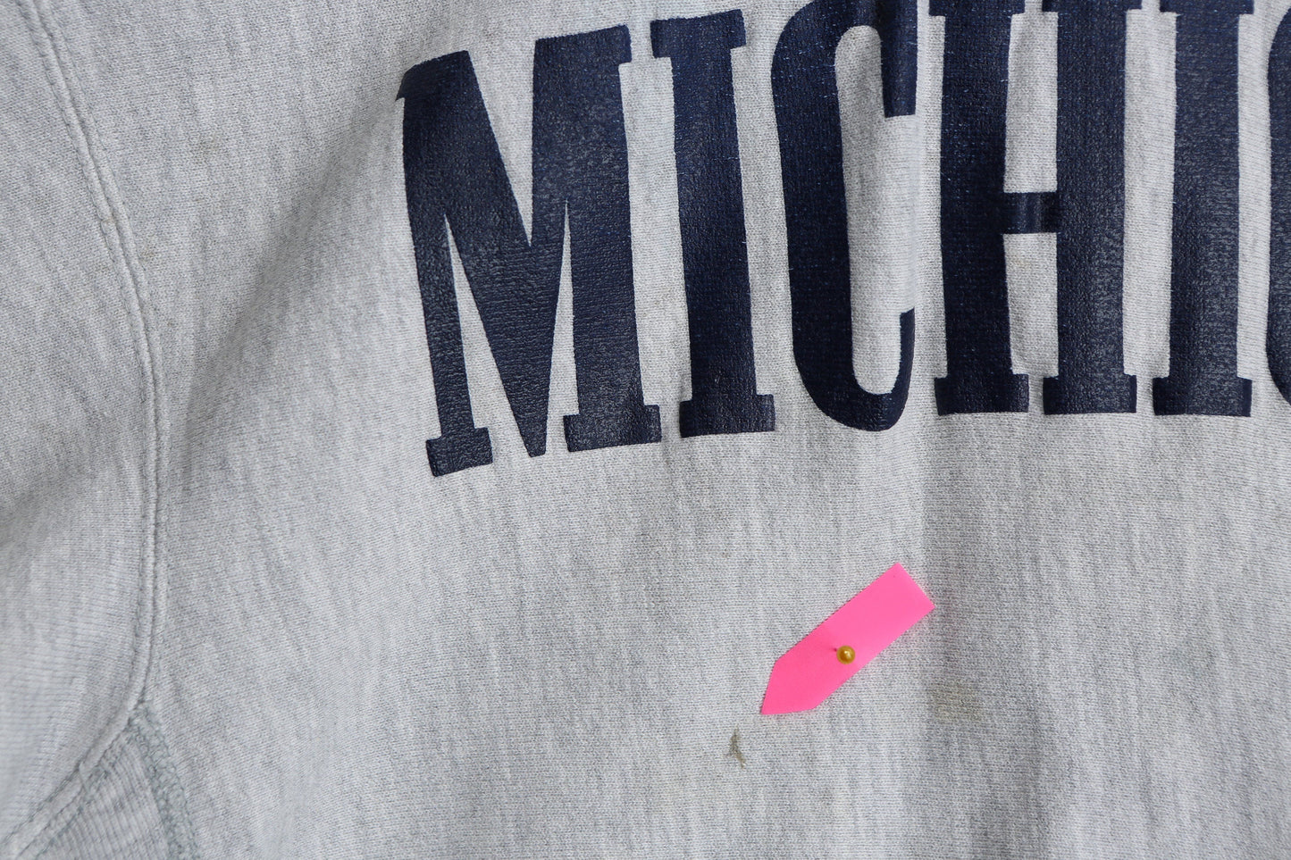 Vintage Champion Gray Hoodie with Michigan Print