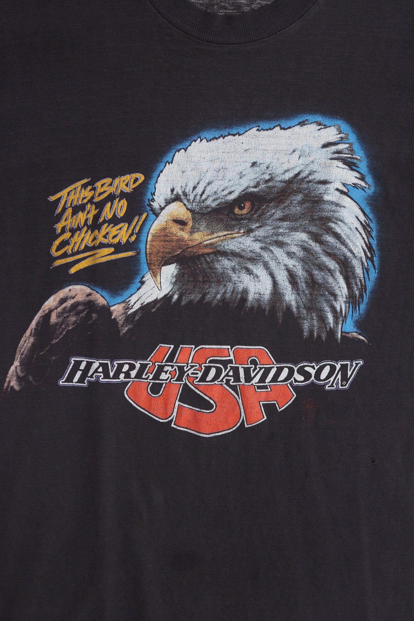 Vintage Harley Davison USA Graphic T-shirt - Fairbanks Alaska