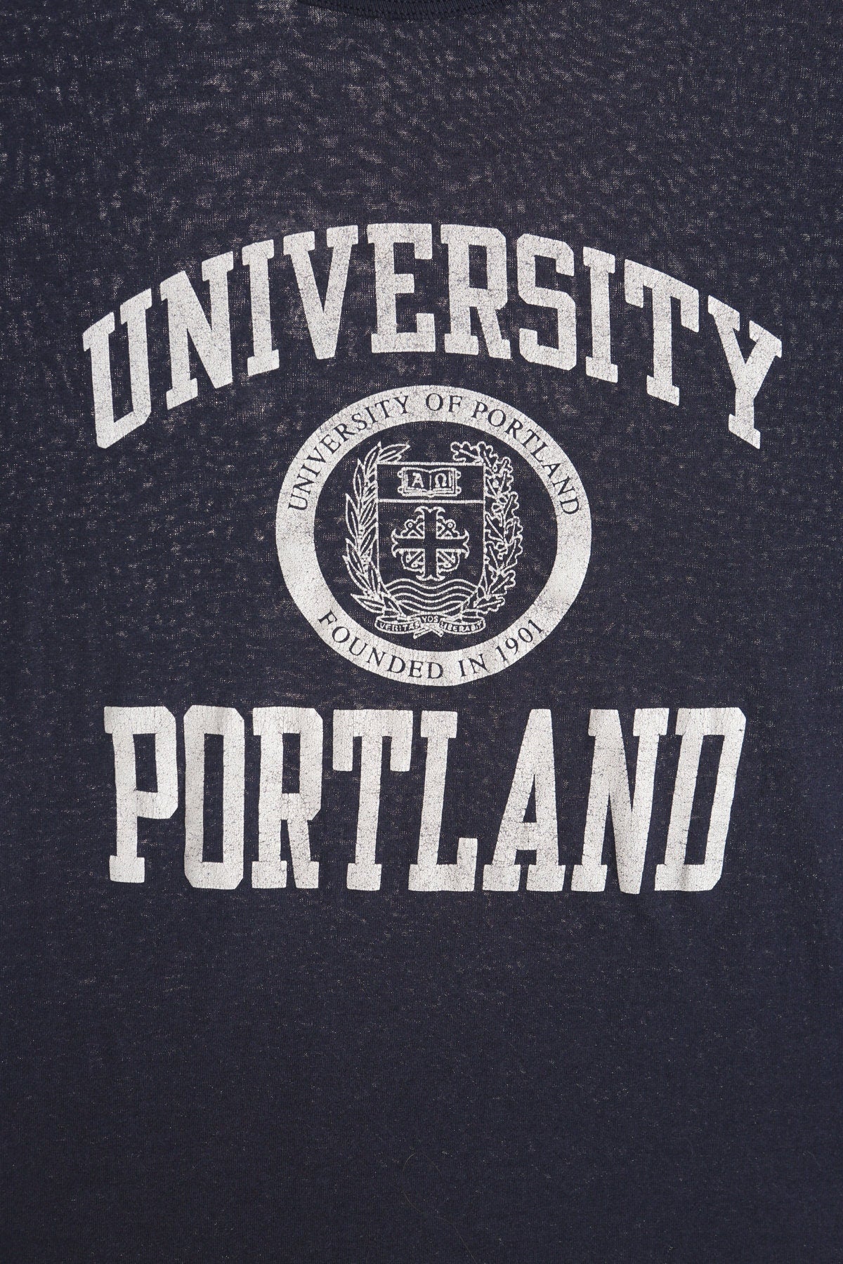 Vintage Champion Blue University Print Shirt