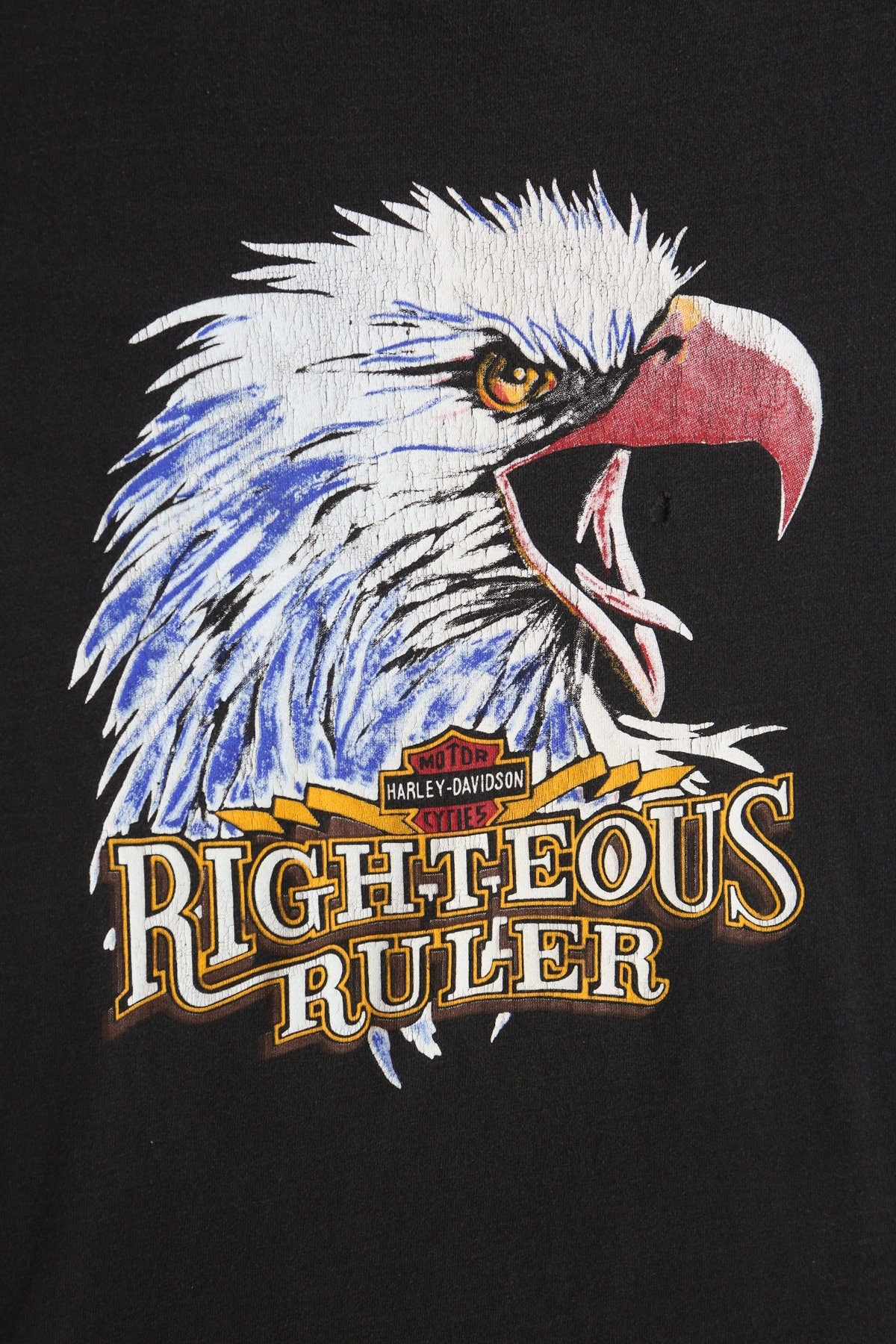 Harley Davidson Righteous Ruler Motorcycle Biker Graphic Shirt