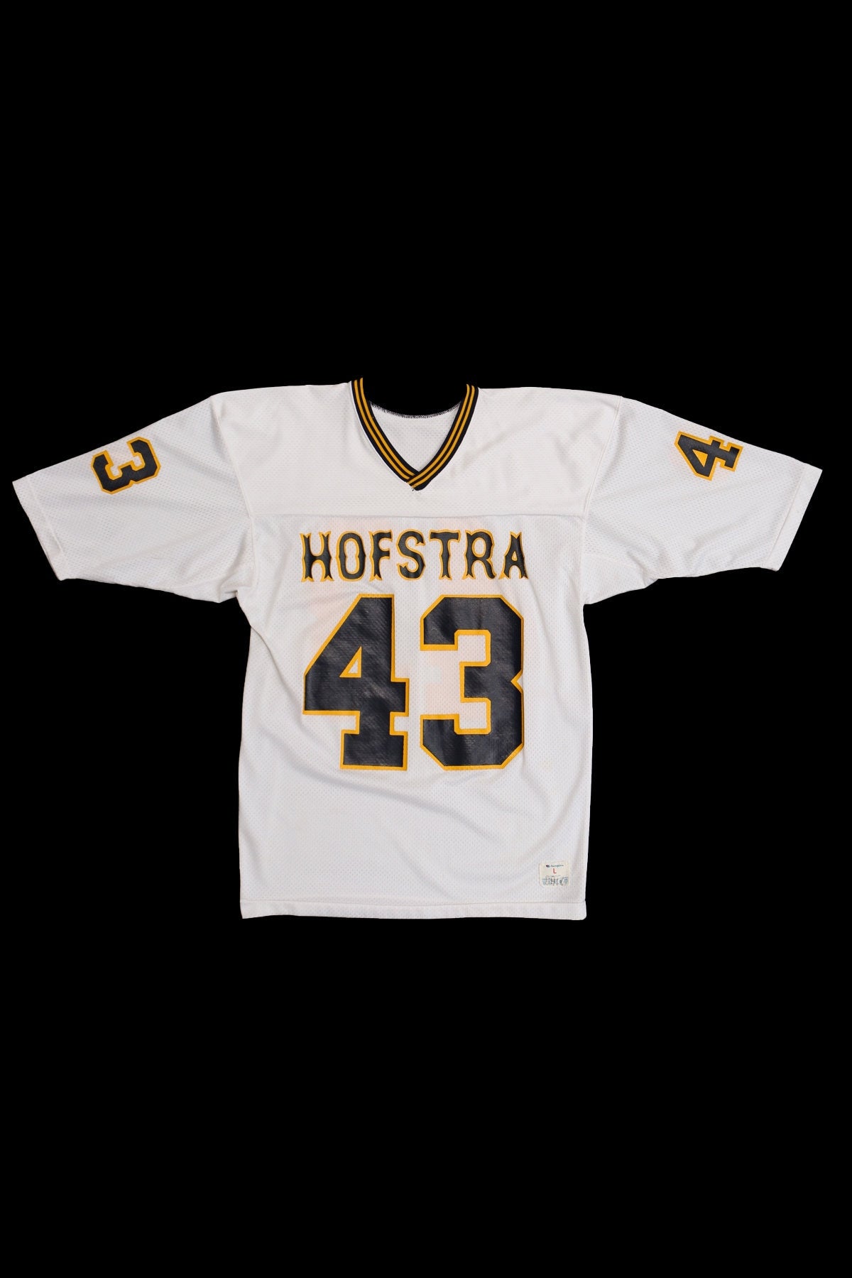 Vintage Champion Jersey - Hofstra 43