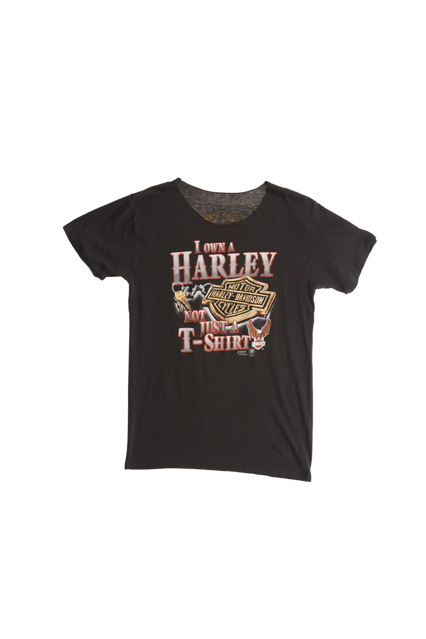 Harley Davidson I Own a Harley Not Just A T-Shirt Graphic Shirt