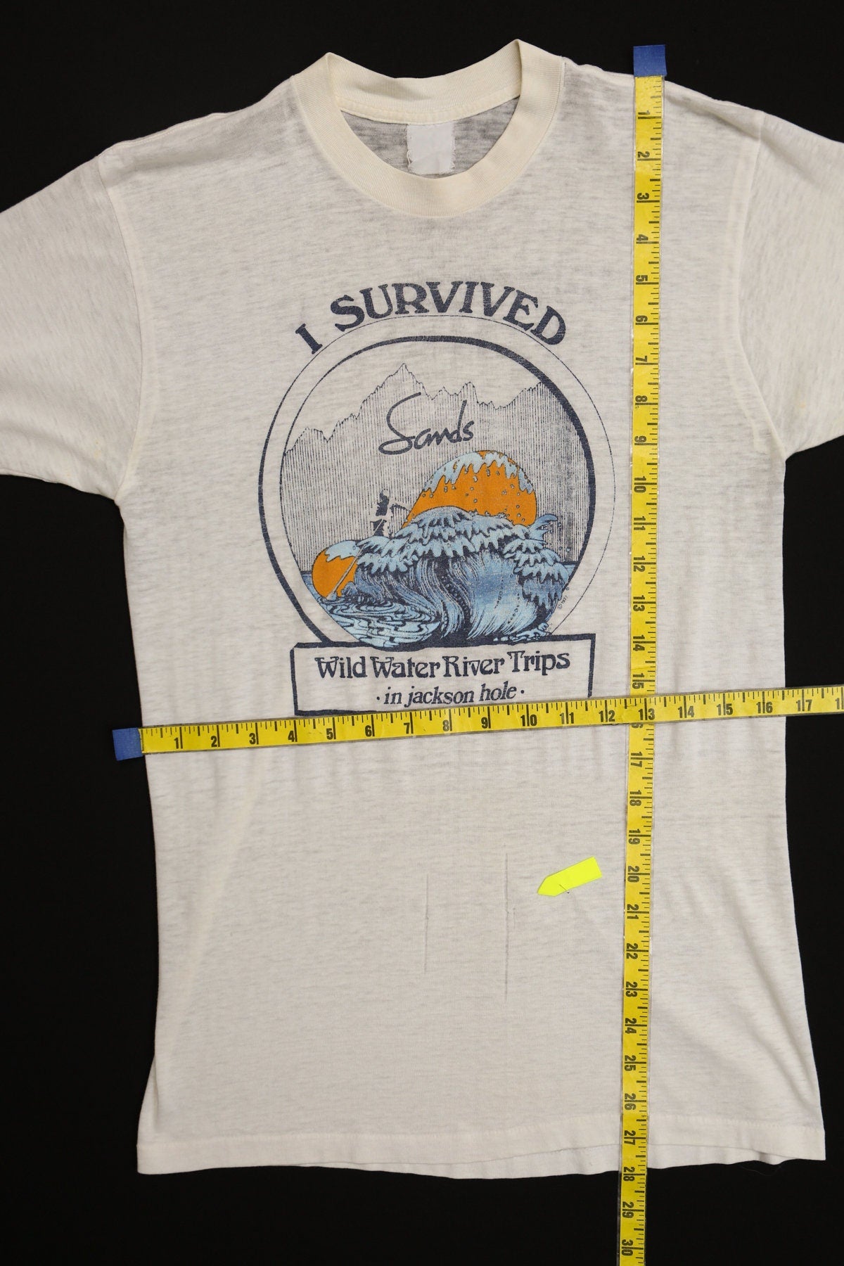 Vintage 70's Graphic T-shirt - I Survived Sands Wild Water River Trips In Jackson Hole