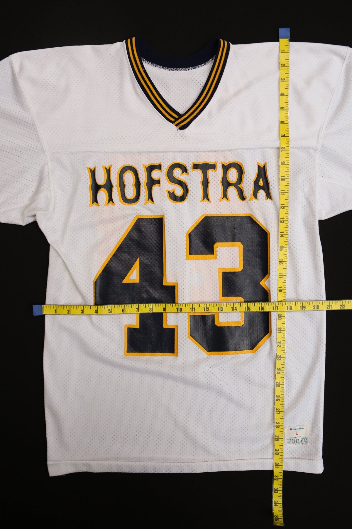 Vintage Champion Jersey - Hofstra 43