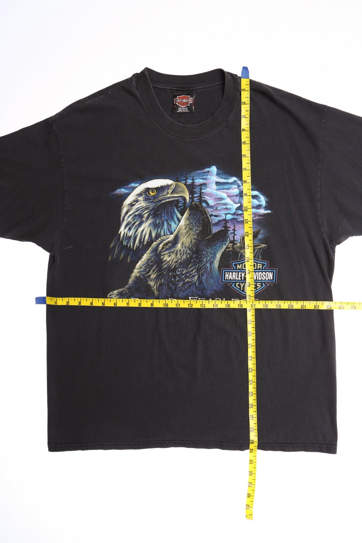 Harley Davidson Proud & Fearless Black Graphic T-shirt