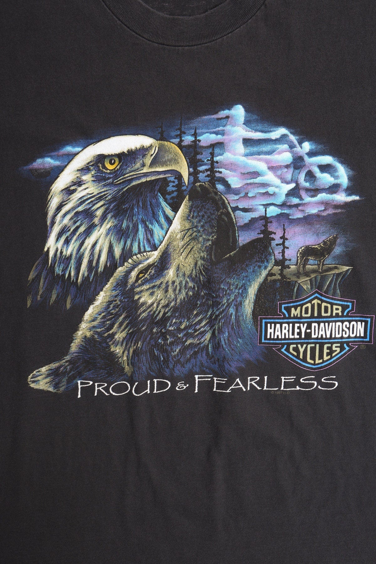 Harley Davidson Proud & Fearless Black Graphic T-shirt