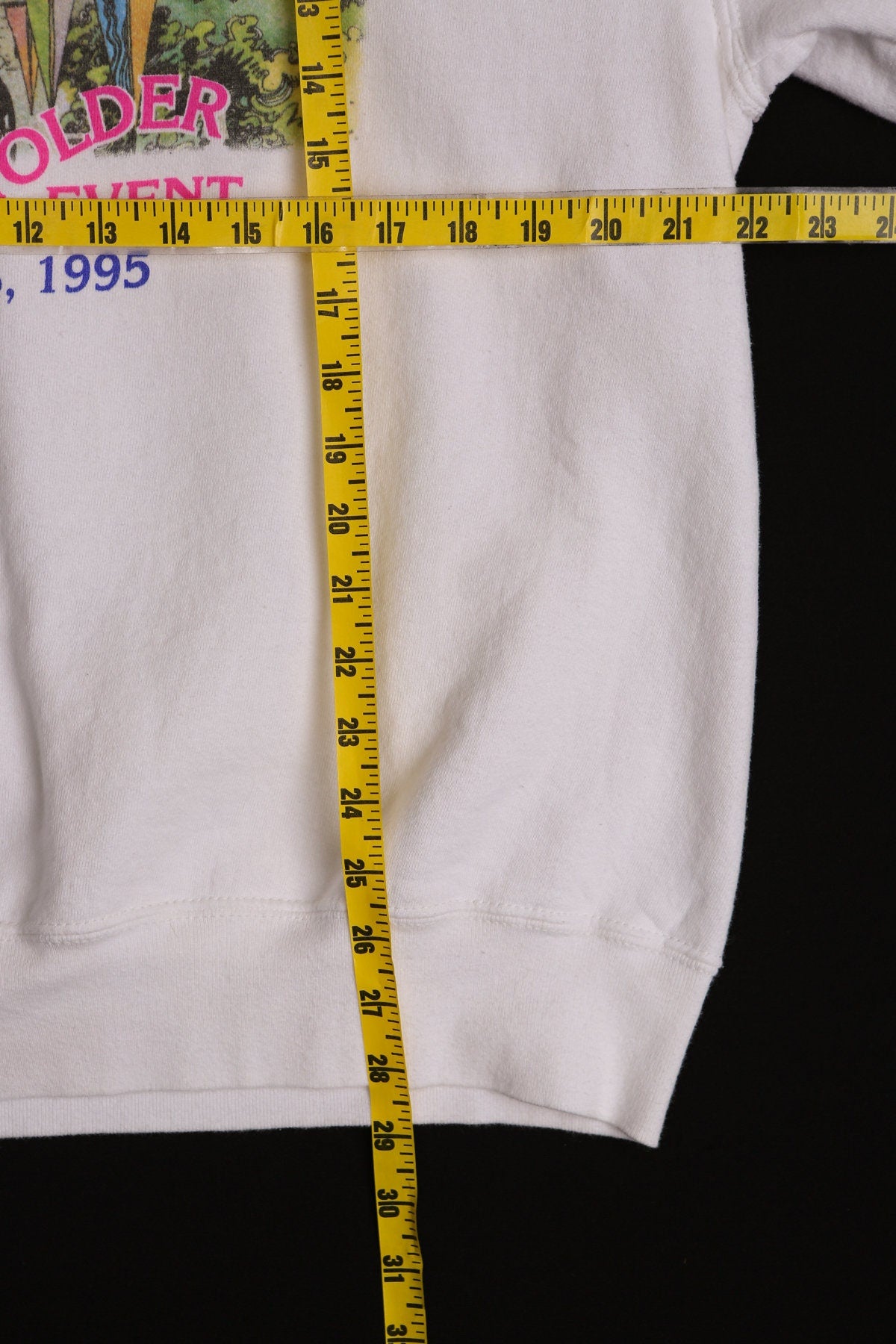 Vintage Disneyland Annual Passholder Event 1995 Graphic Sweatshirt