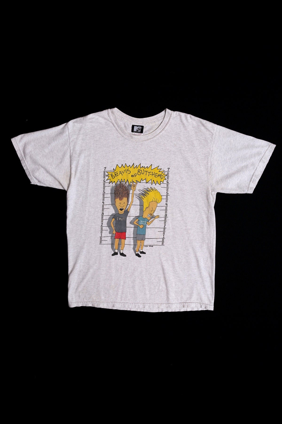 Beavis and Butt-Head Gray Graphic T-shirt