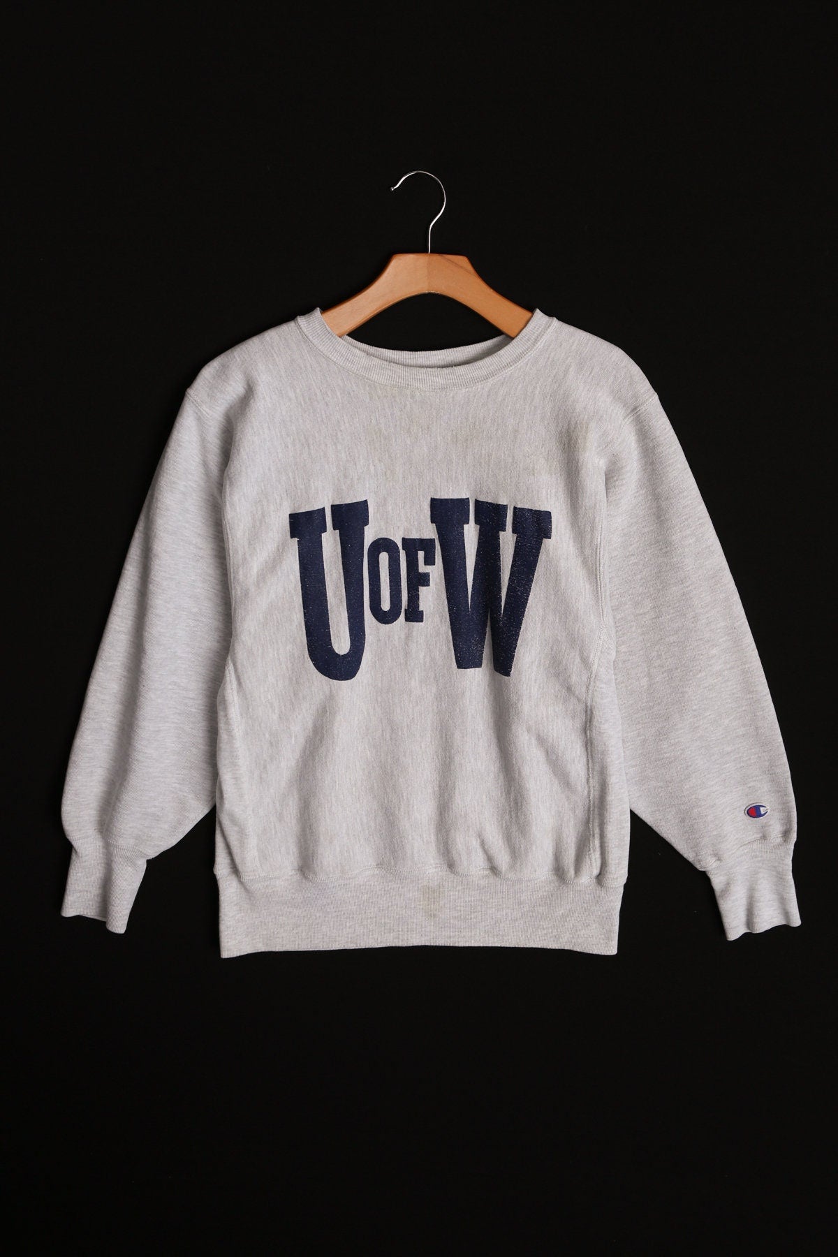Vintage Champion Gray Sweatshirt - U of W -