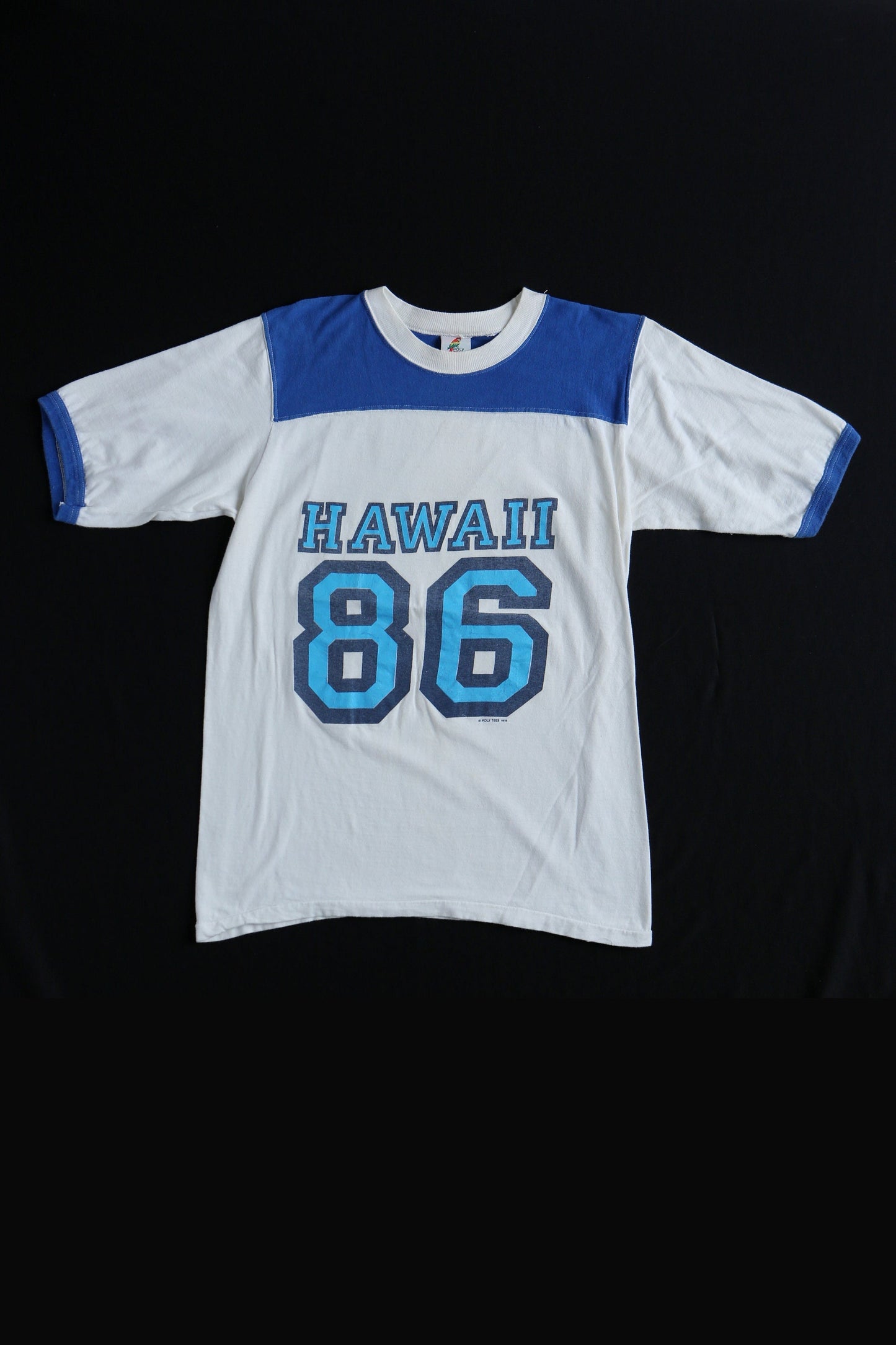 86 hawaiian vintage graphic t-shirt 70's surfing skating rollerskating hippie