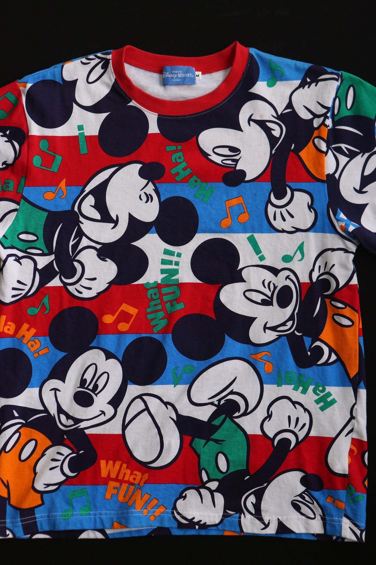 Mickey mouse disney tokyo resort t-shirt y2k