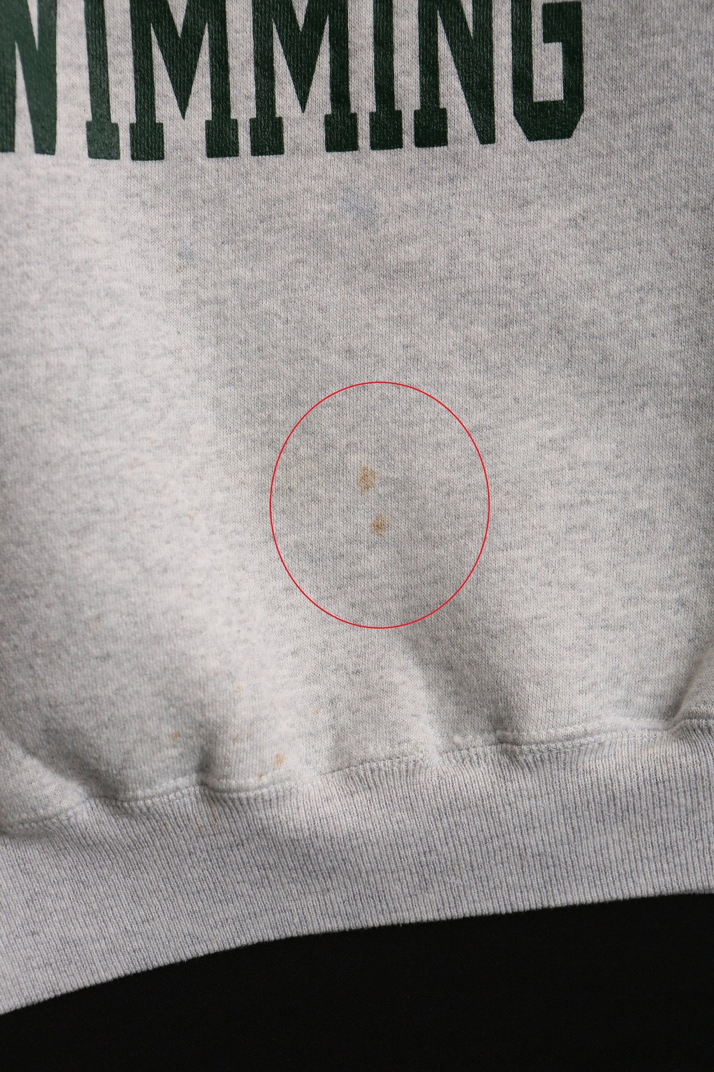 Vintage champion sweatshirt michigan state swimming xxl made in usa トレーナー ビンテージ