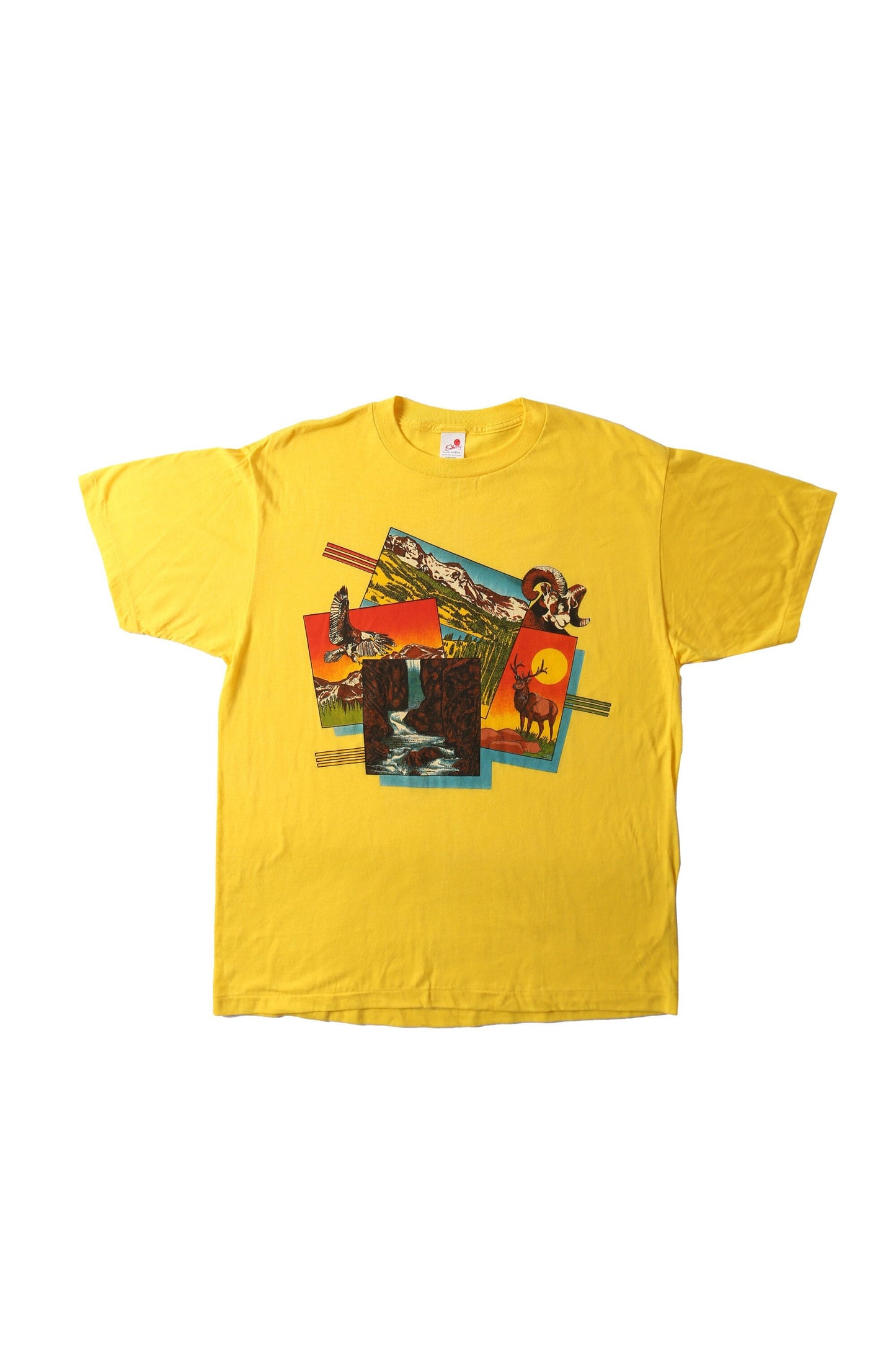 Vintage dead stcock made in usa 70's nature desert graphic t-shirt t-シャツ ビンテージ