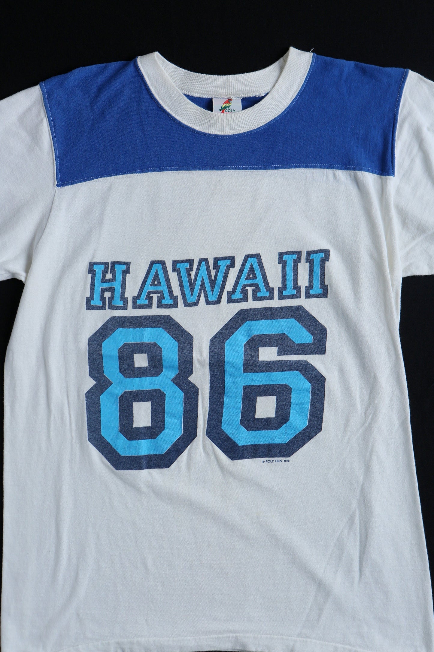 86 hawaiian vintage graphic t-shirt 70's surfing skating rollerskating hippie