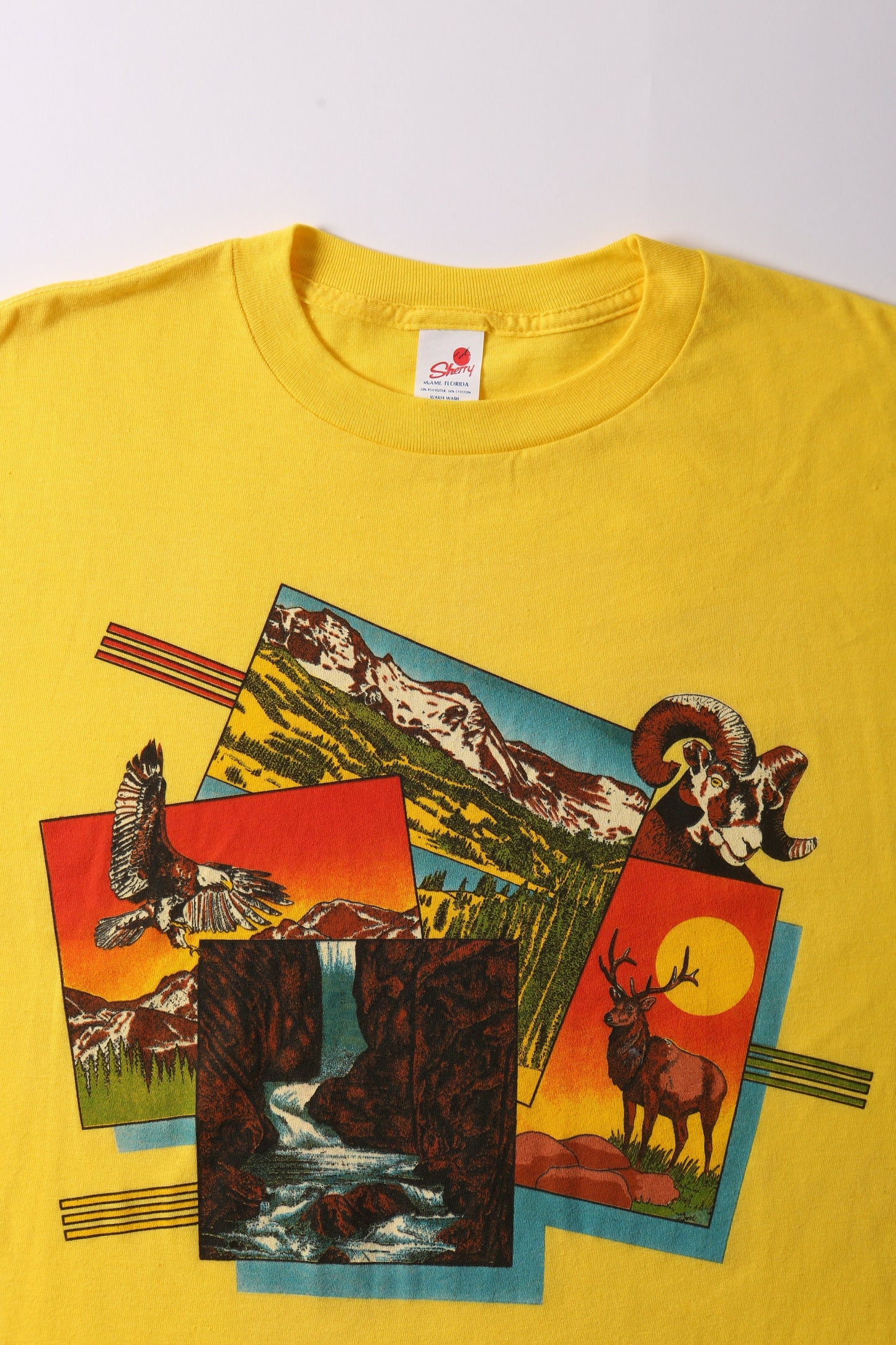 Vintage dead stcock made in usa 70's nature desert graphic t-shirt t-シャツ ビンテージ