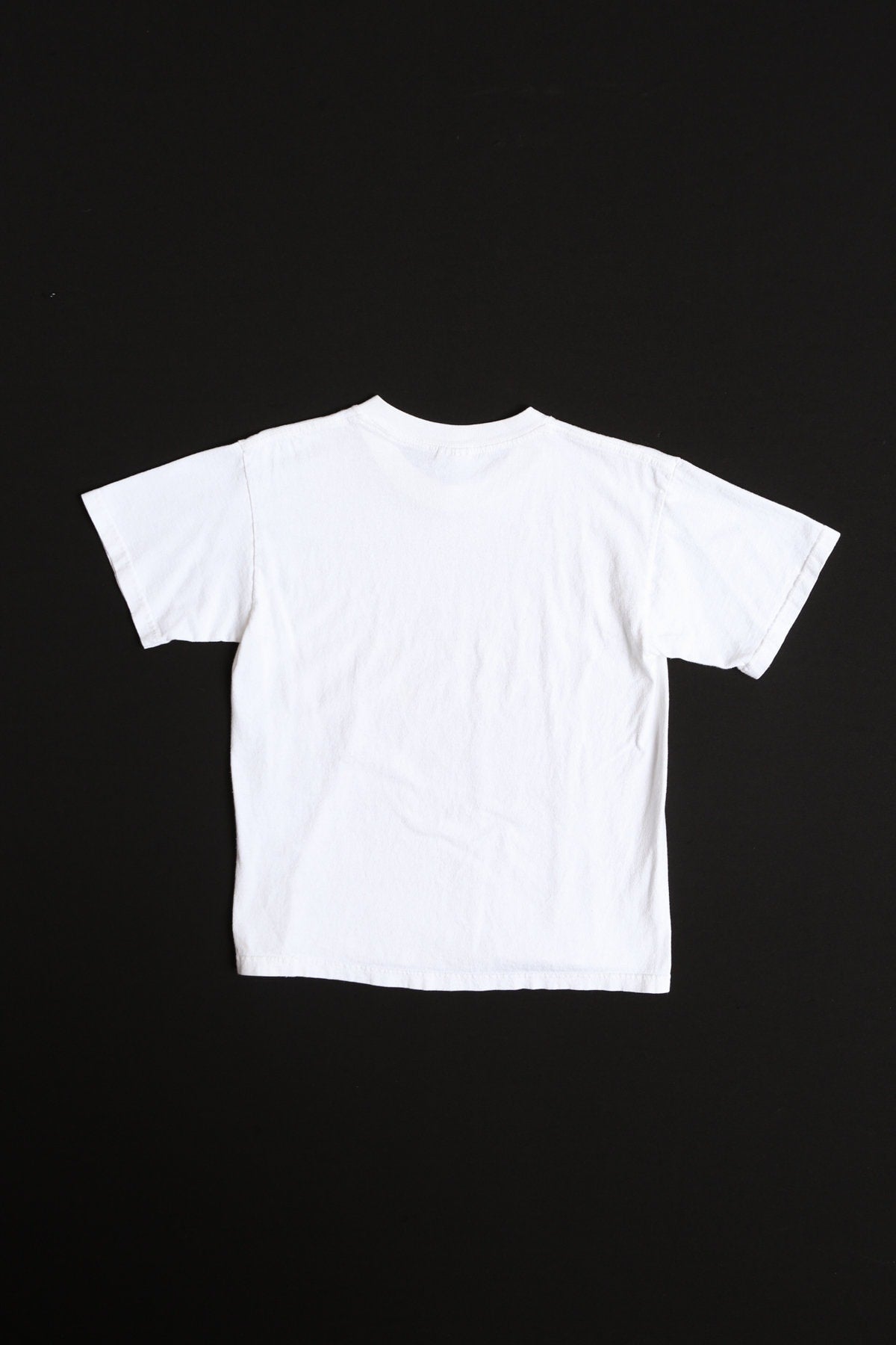 Vintage White Wrestling Graphic t-shirt - WCW VS NWO - ddp and Malone vs Hollywood and Rodzilla