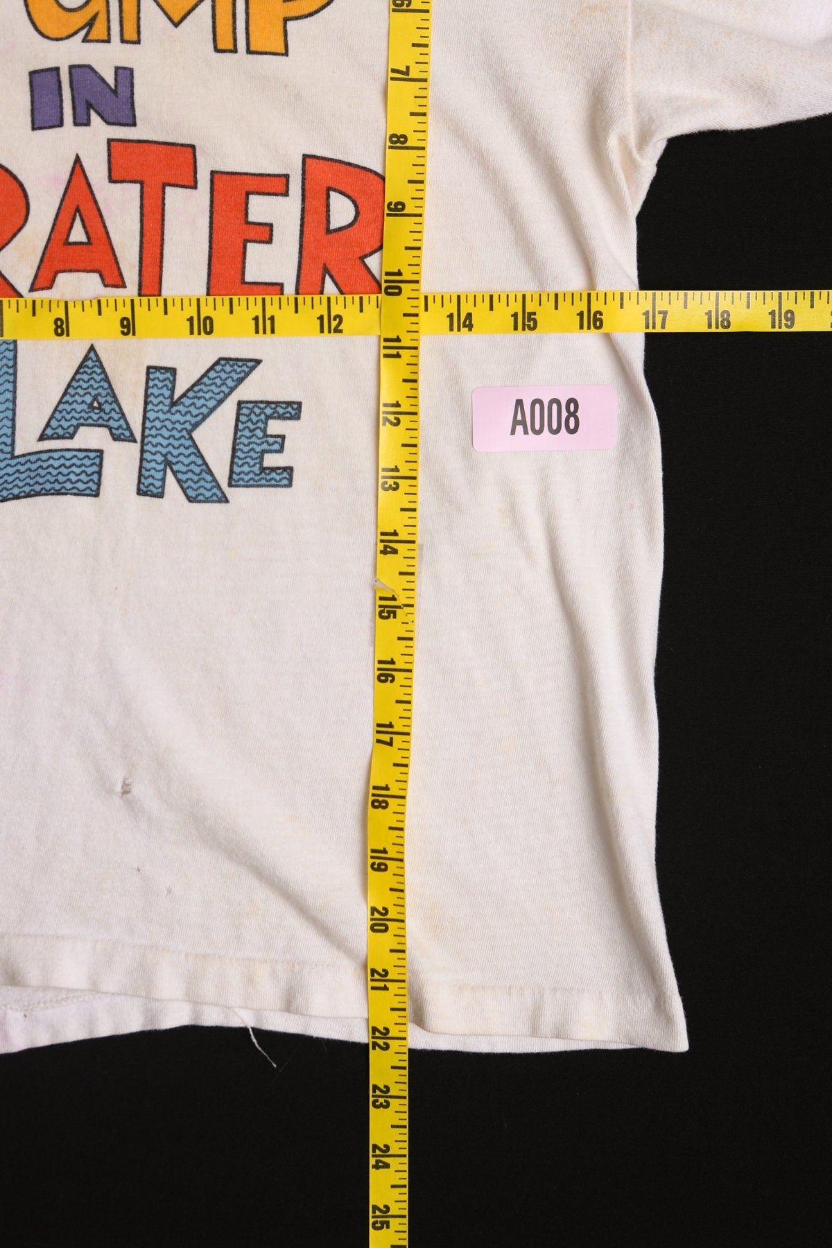 Vintage White Champion T-shirt with Go Jump in Crater Lake Print