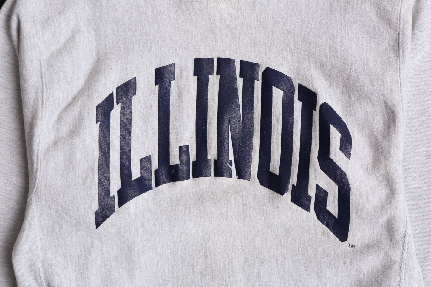 Vintage Gray Champion Sweatshirt with Illinois Print - Era 80's - 90's