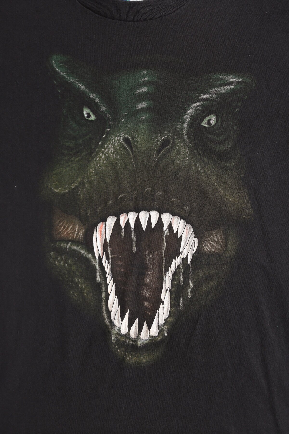 Jurassic Park Graphic T-shirt by Universal Studios
