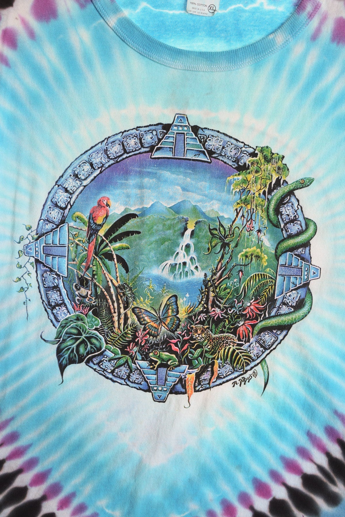 Vintage tie Dye Graphic T-shirt - Nature's Vanishing Rainforest Print