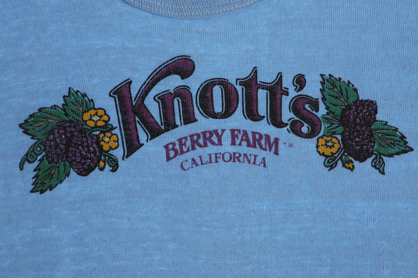 1980s Blue Women Shirt with Knott's Berry Farm Print