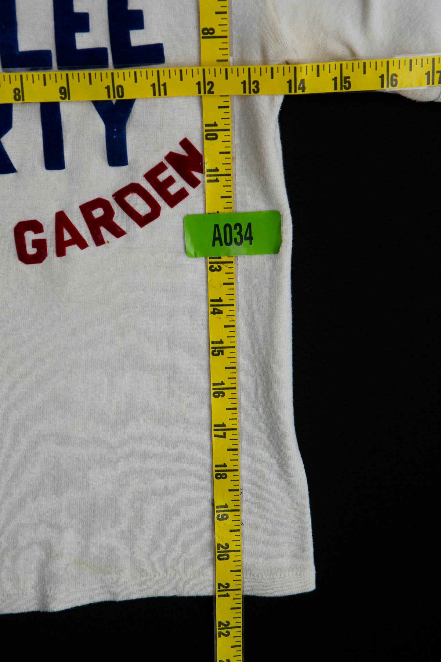 1977 The Queen's Silver Jubilee Graphic T-shirt