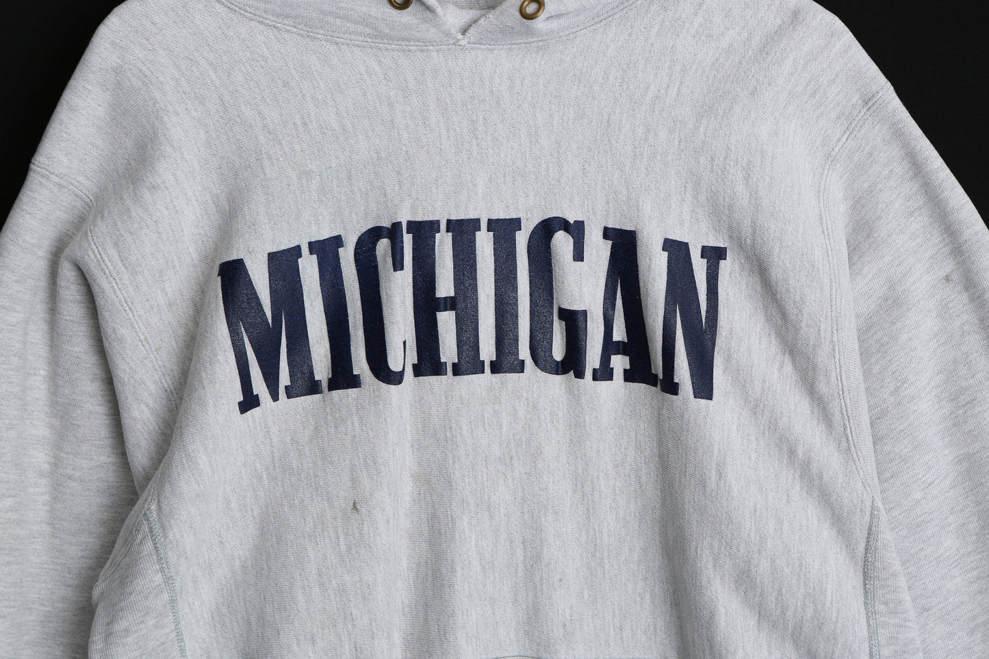 Vintage Champion Gray Hoodie with Michigan Print
