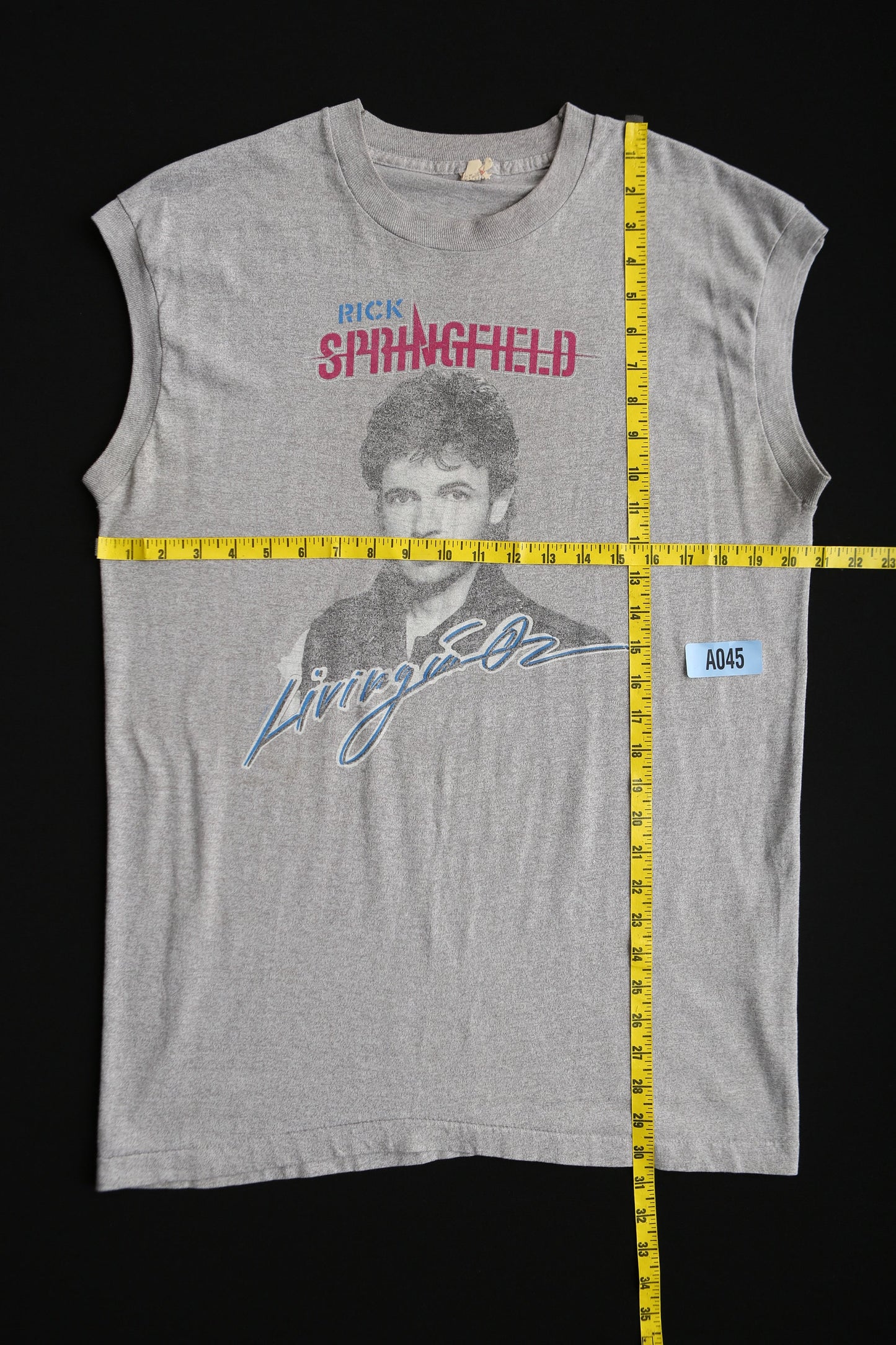 Vintage Rick Springfield Living 0Z / World Tour 1983