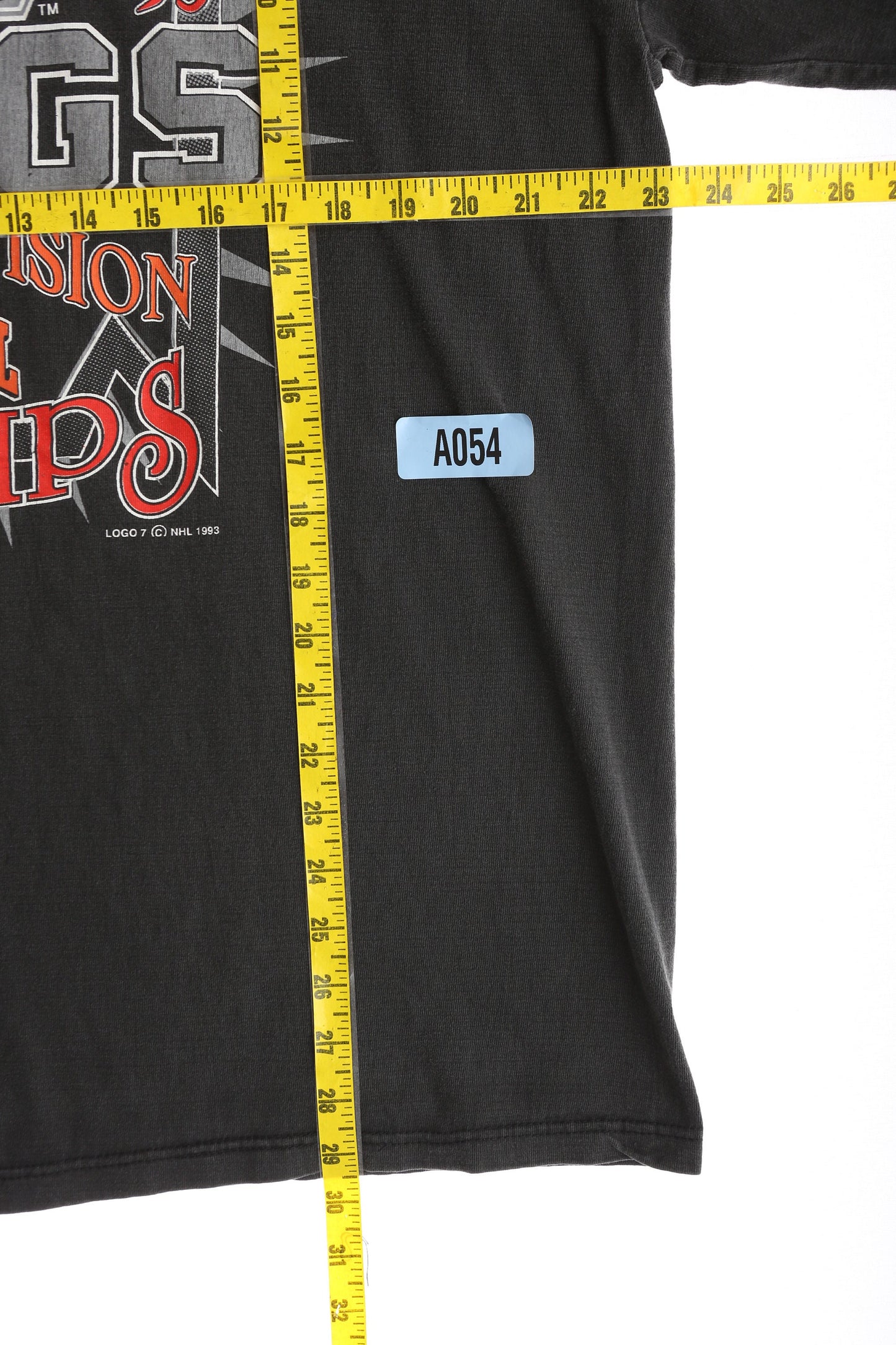 Vintage La Kings Hockey 1994 Smythe Division Champs Graphic T-shirt