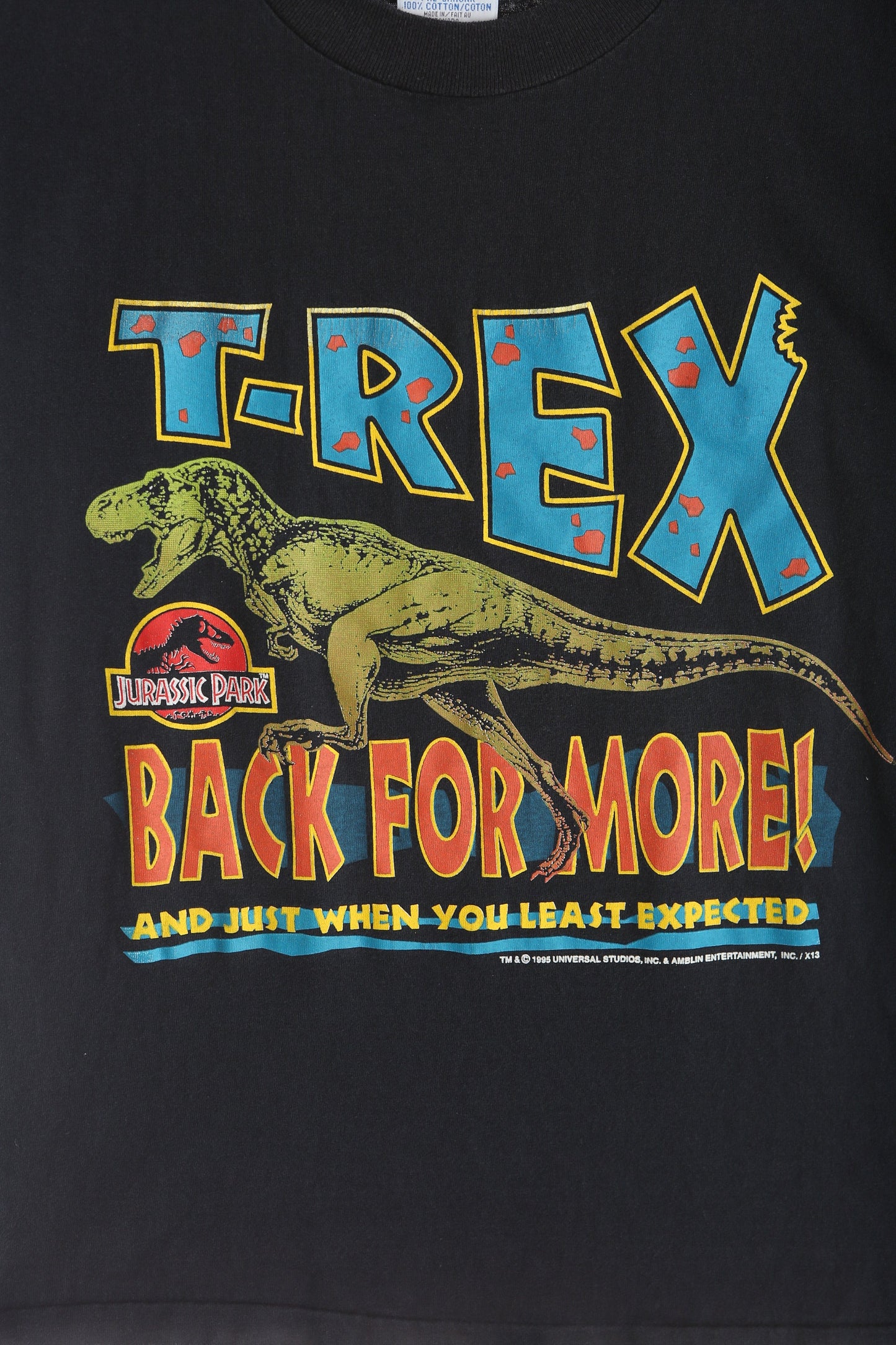Vintage Jurassic Park Graphic T-shirt