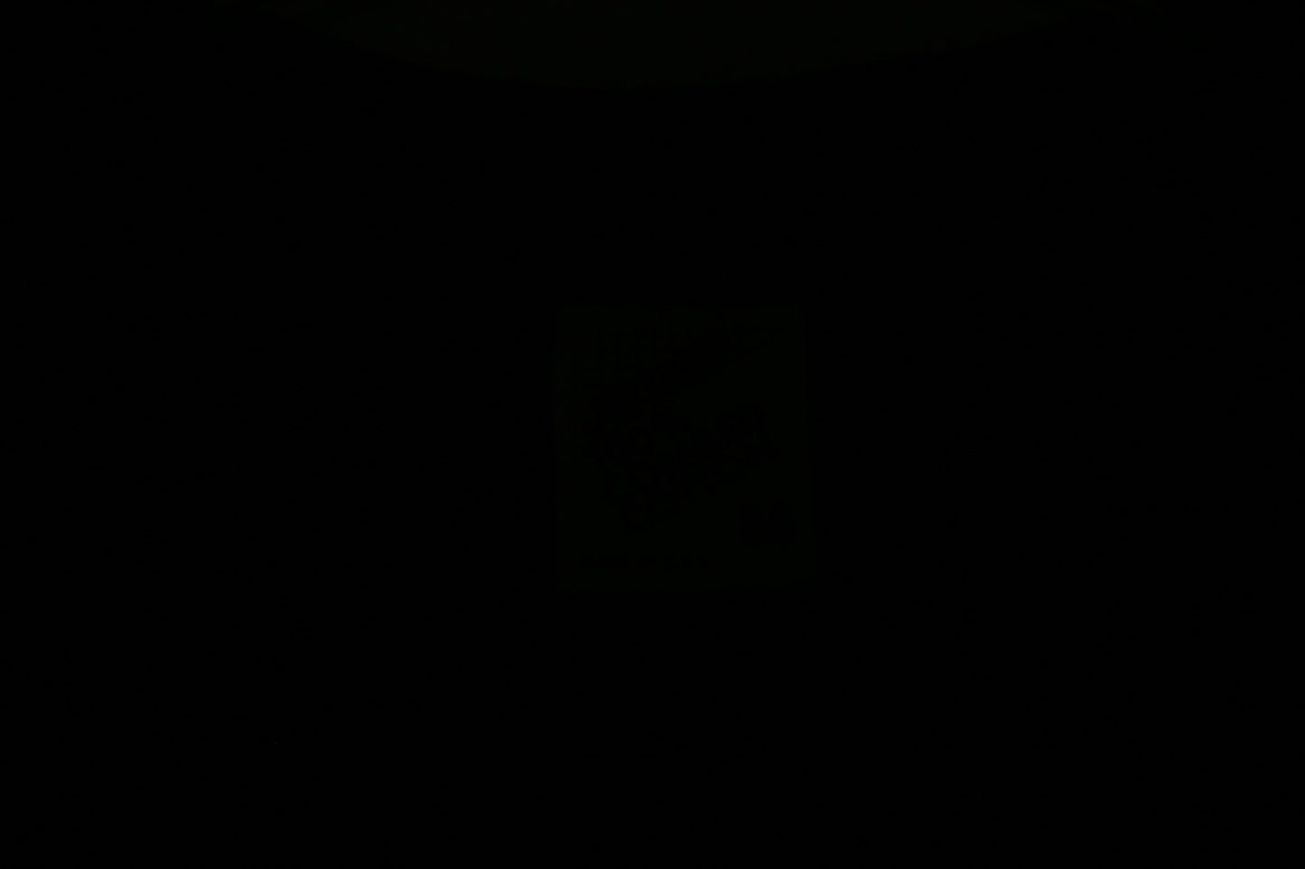 Vintage Elvis Presly Motorcycle Graphic T-shirt