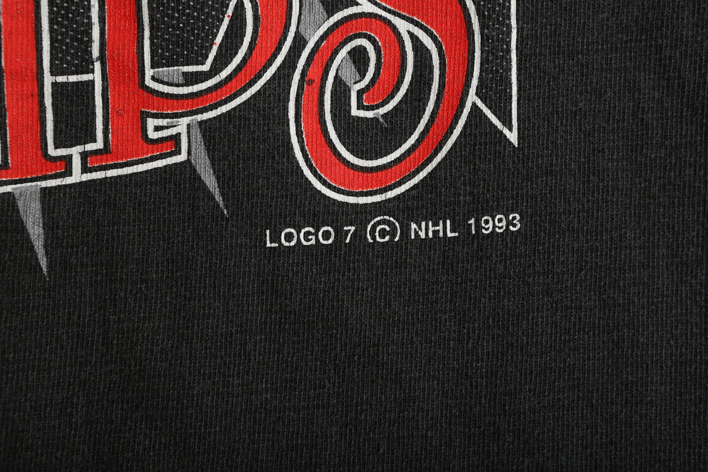 Vintage La Kings Hockey 1994 Smythe Division Champs Graphic T-shirt