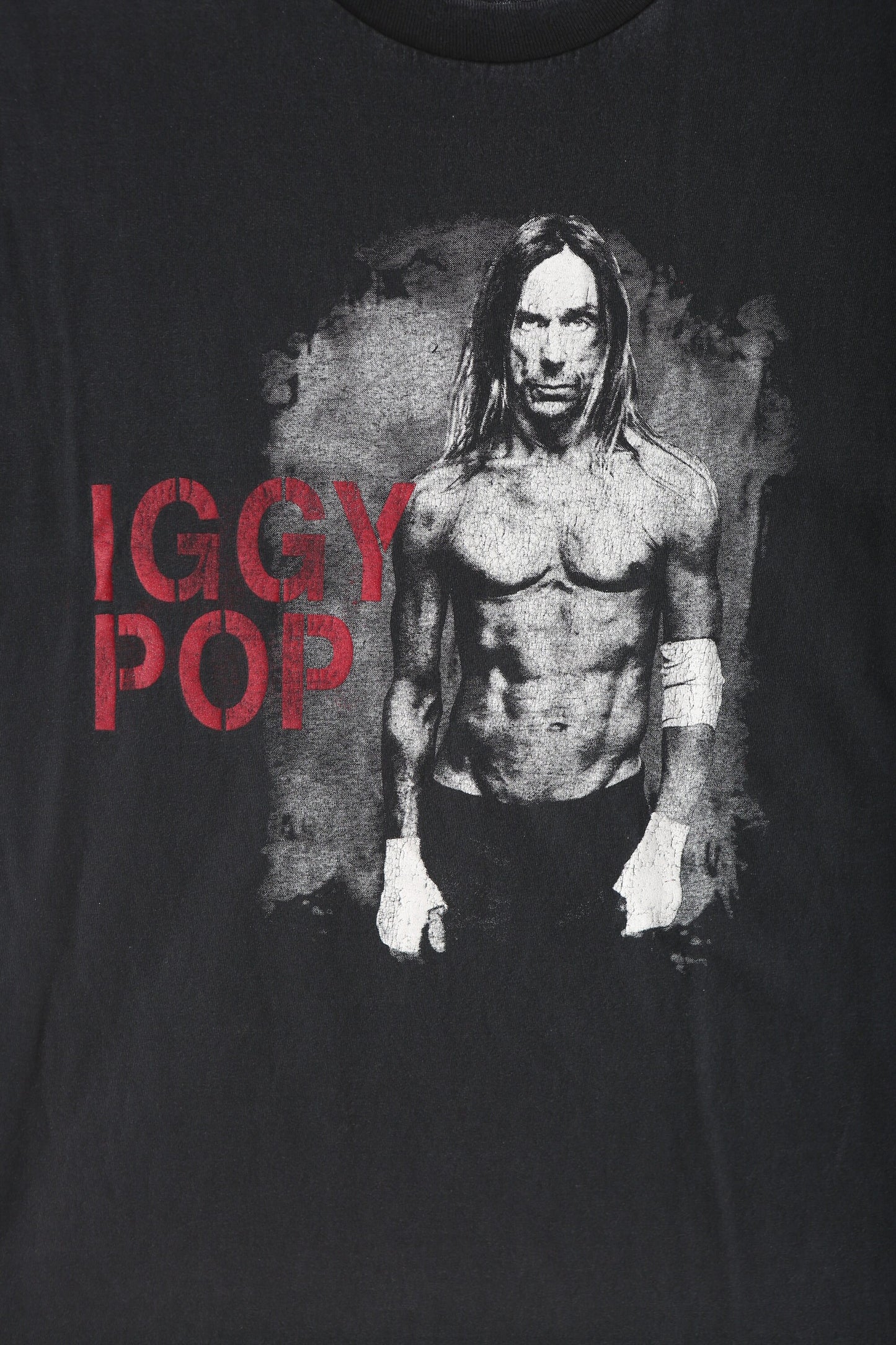 Vintage Iggy Pop Graphic T-shirt / Iggy and The Stooges