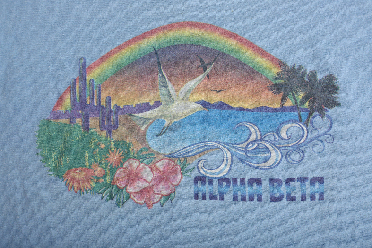 Vintage Hanes Blue Graphic T-shirt / Alpha Beta Beach Print