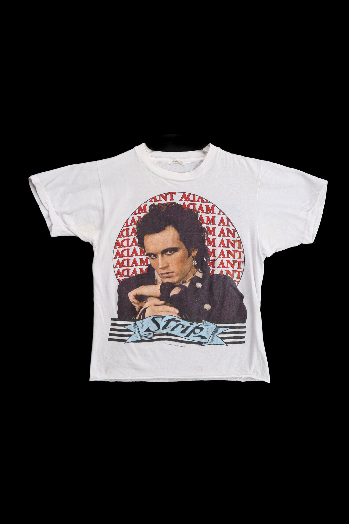 1984 Tour Adamant Strip White Rock Graphic T-shirt